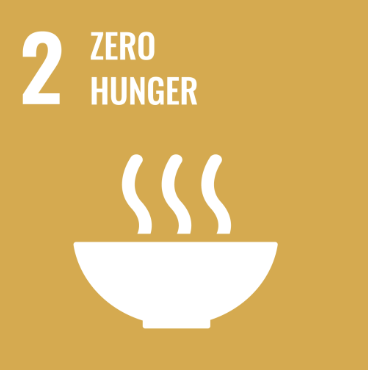 sdg 2