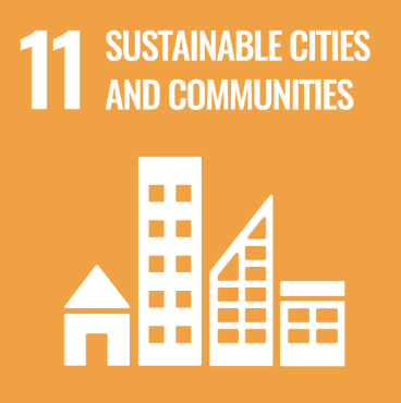 sdg 11