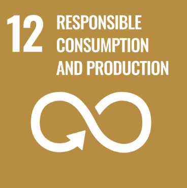 sdg12