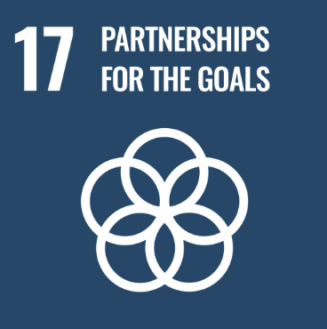 sdg 17