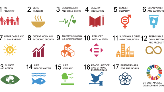 17 SDGs