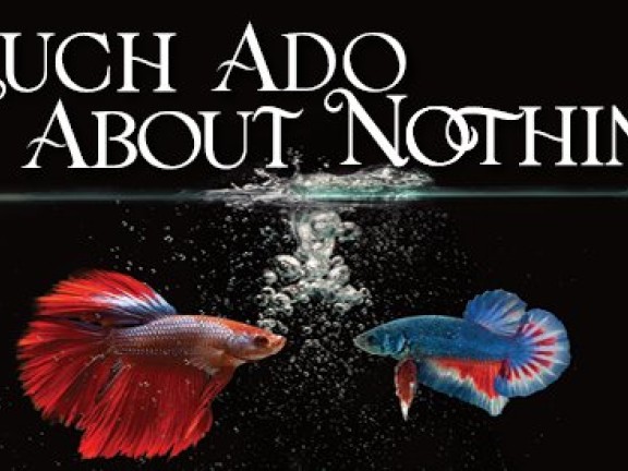 Much Ado About Nothing