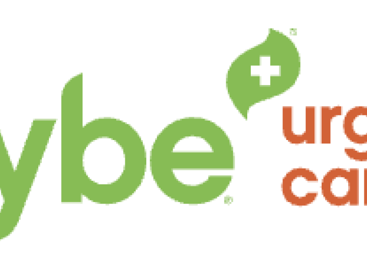 vybe logo